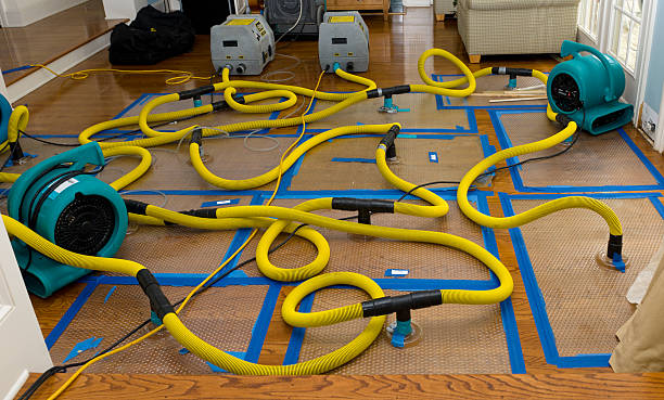 Professional Basement Flood Cleanup technician working in Woodberry Forest, VA